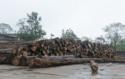百老汇官方网站,家具行业协会,家具行业