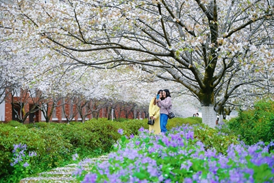 百老汇官方网站,家具行业协会,家具行业