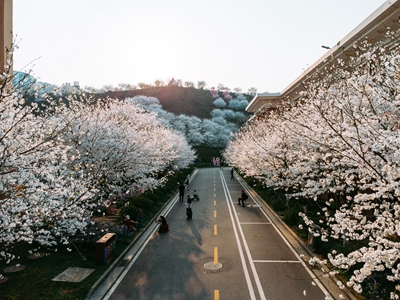 百老汇官方网站,家具行业协会,家具行业