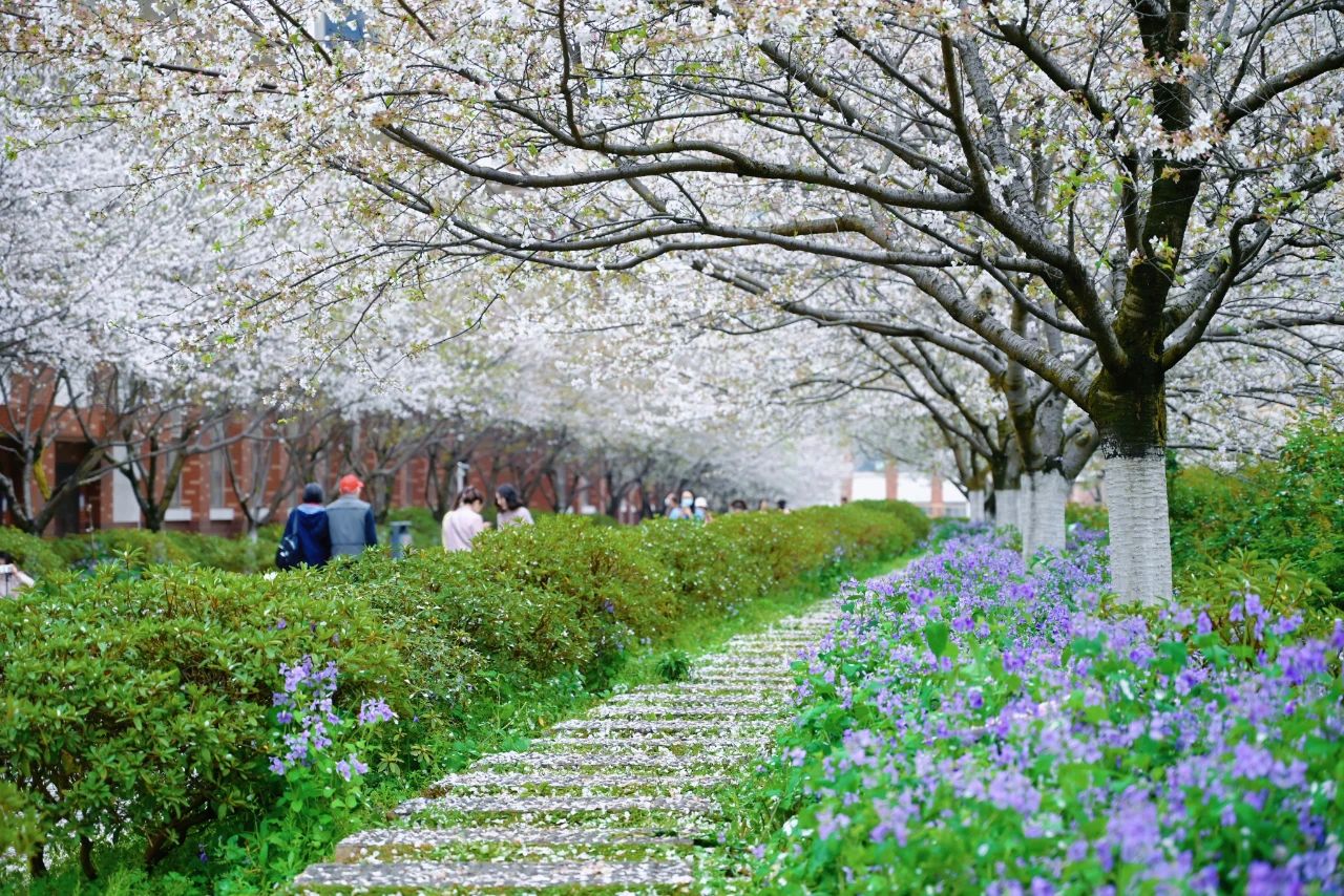 百老汇官方网站,家具行业协会,家具行业