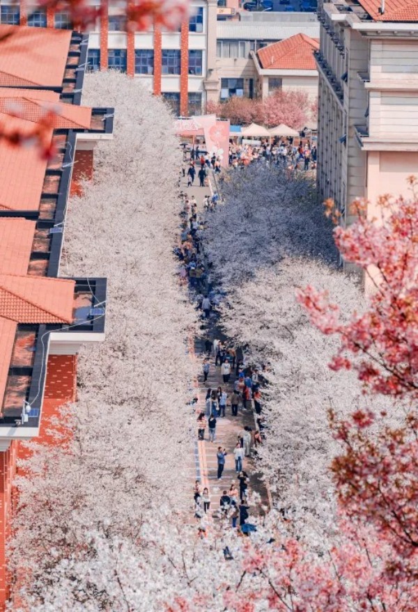 百老汇官方网站
,家具行业协会,家具行业