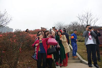 百老汇官方网站,家具行业协会,家具行业