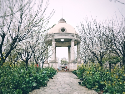 百老汇官方网站,家具行业协会,家具行业