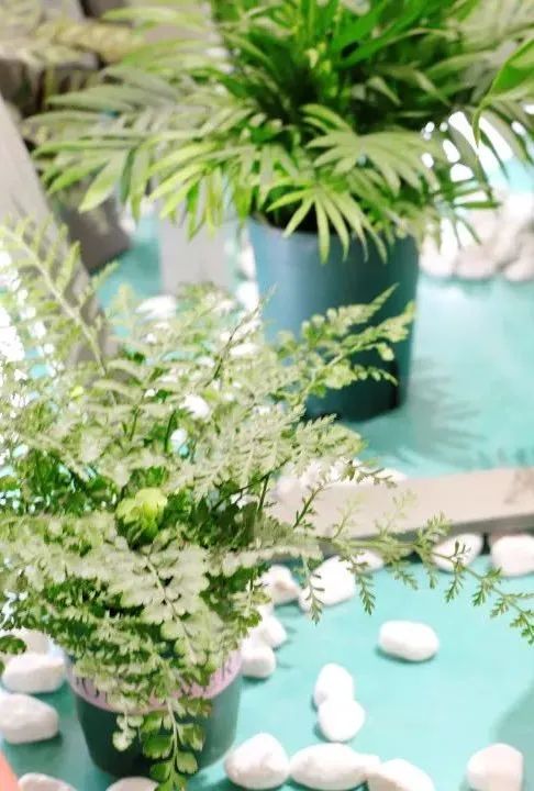 百老汇官方网站,家具行业协会,家具行业