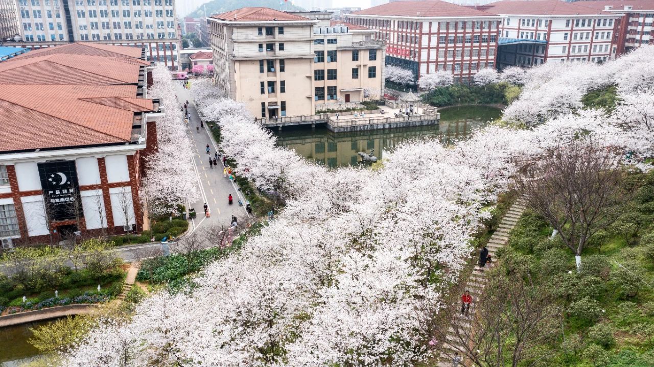 百老汇官方网站,家具行业协会,家具行业