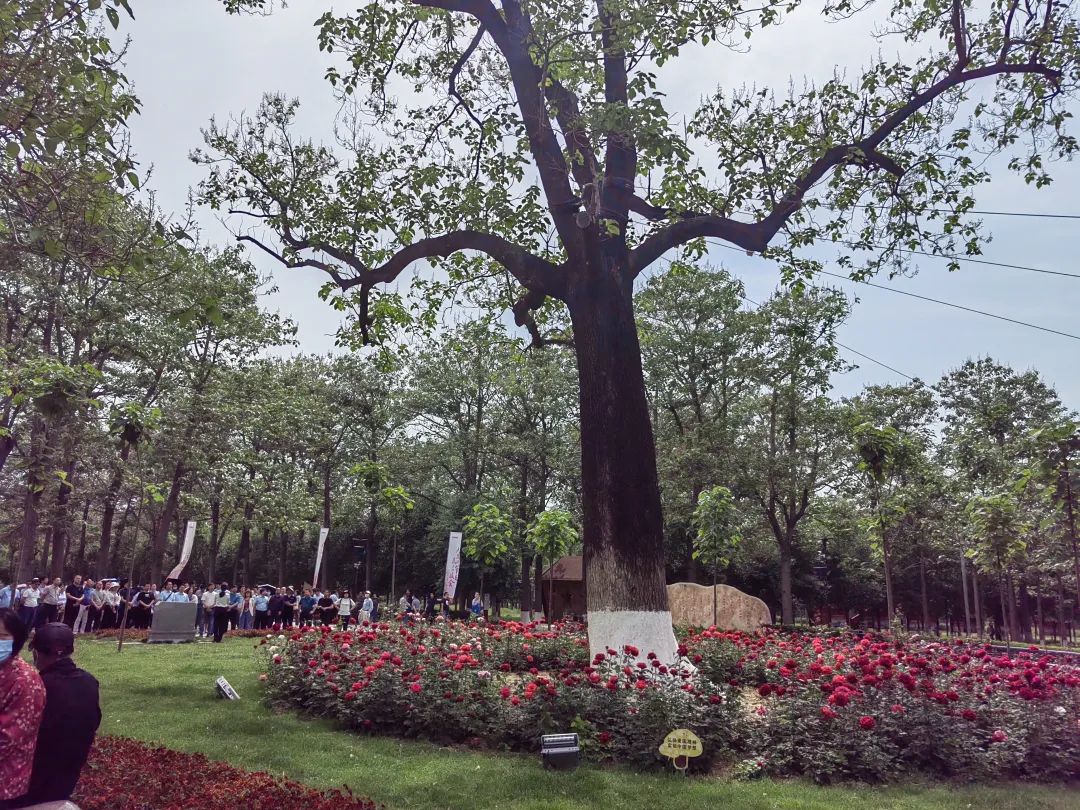 百老汇官方网站,家具行业协会,家具行业